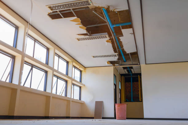 Best Flood damage cleanup  in Lennox, CA