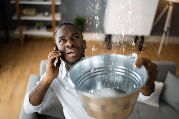 Best Ceiling water damage repair  in Lennox, CA