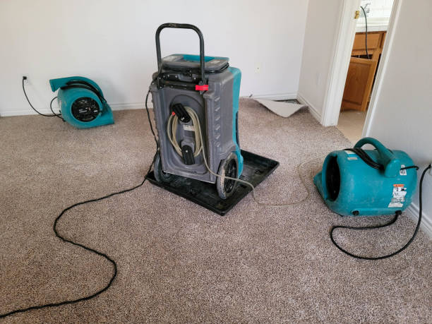 Best Sewage cleanup and water damage restoration  in Lennox, CA