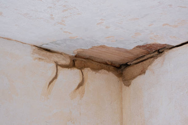 Best Fire Damage Restoration  in Lennox, CA