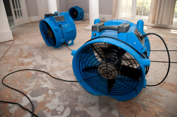 Best Flooded house restoration  in Lennox, CA