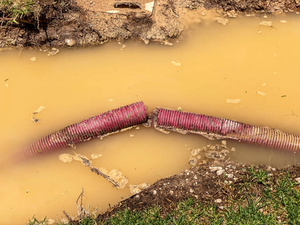 Best Local water damage restoration  in Lennox, CA